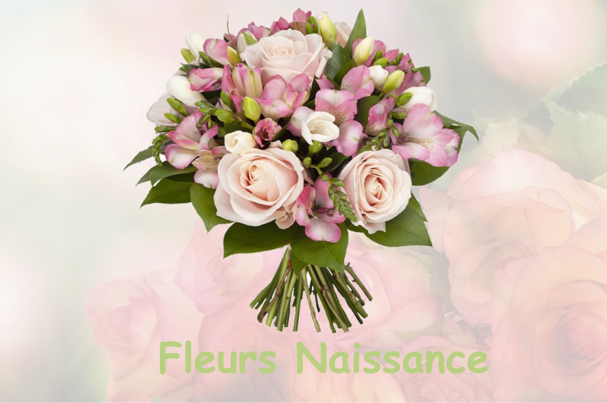 fleurs naissance MOYENCOURT-LES-POIX